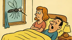 Vic: Koja je razlika između komarca i muškarca?